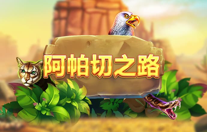四肖三肖必开期期准精准